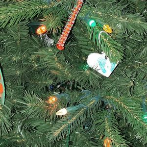 Meet your Posher, Annette